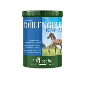 St. Hippolyt  Fohlengold Bone*