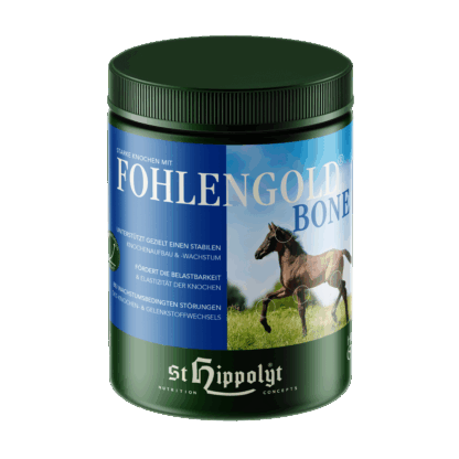 St. Hippolyt  Fohlengold Bone*