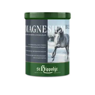 St. Hippolyt Magnesium B12*