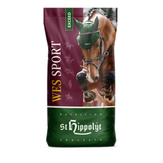 St. Hippolyt WES Sport Exceed*