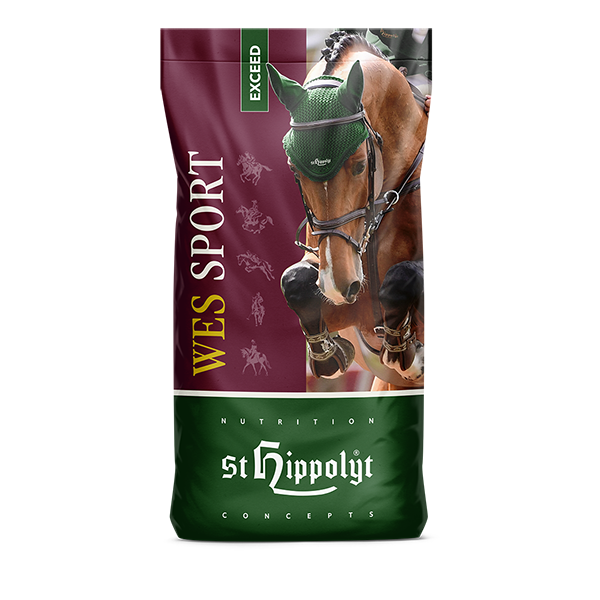 St. Hippolyt WES Sport Exceed*