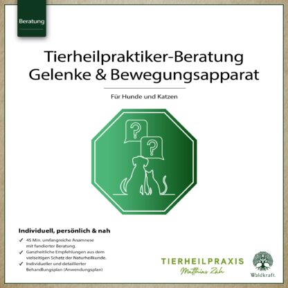 THP-Beratung: Bewegungsapparat *