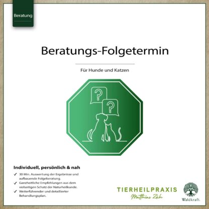 THP Folge-Beratungstermine *