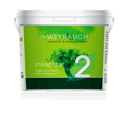 dr. WEYRAUCH Nr. 2 Standfest 5kg*