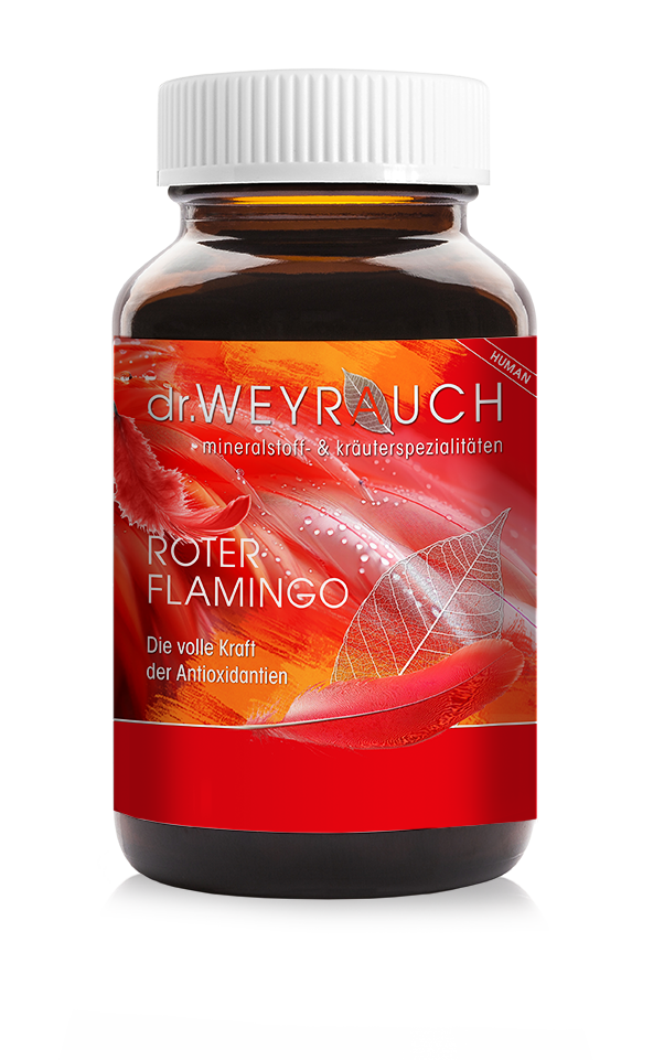 dr. Weyrauch Nr. 40 - Roter Flamingo*